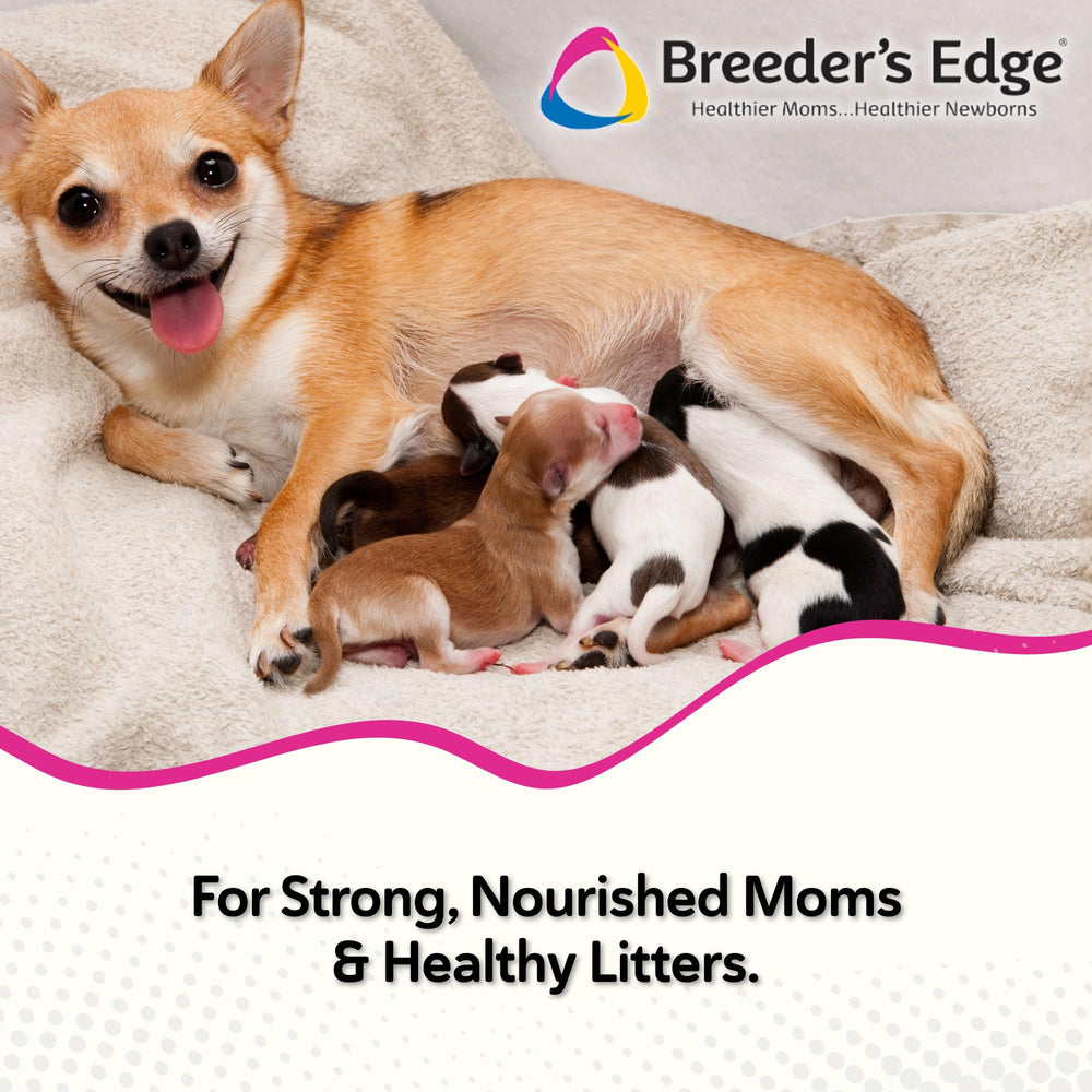 Breeder's Edge Oxy Momma Soft Chews botella de 40 bocados.
