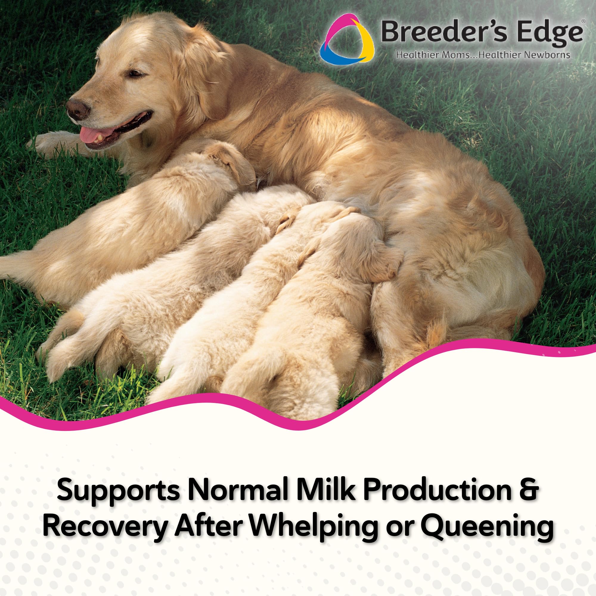 Breeder's Edge Oxy Momma Soft Chews equilibrio hormonal.