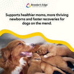 Breeder's Edge Foster Care con Bio-Mos para apoyar la digestión en cachorros.