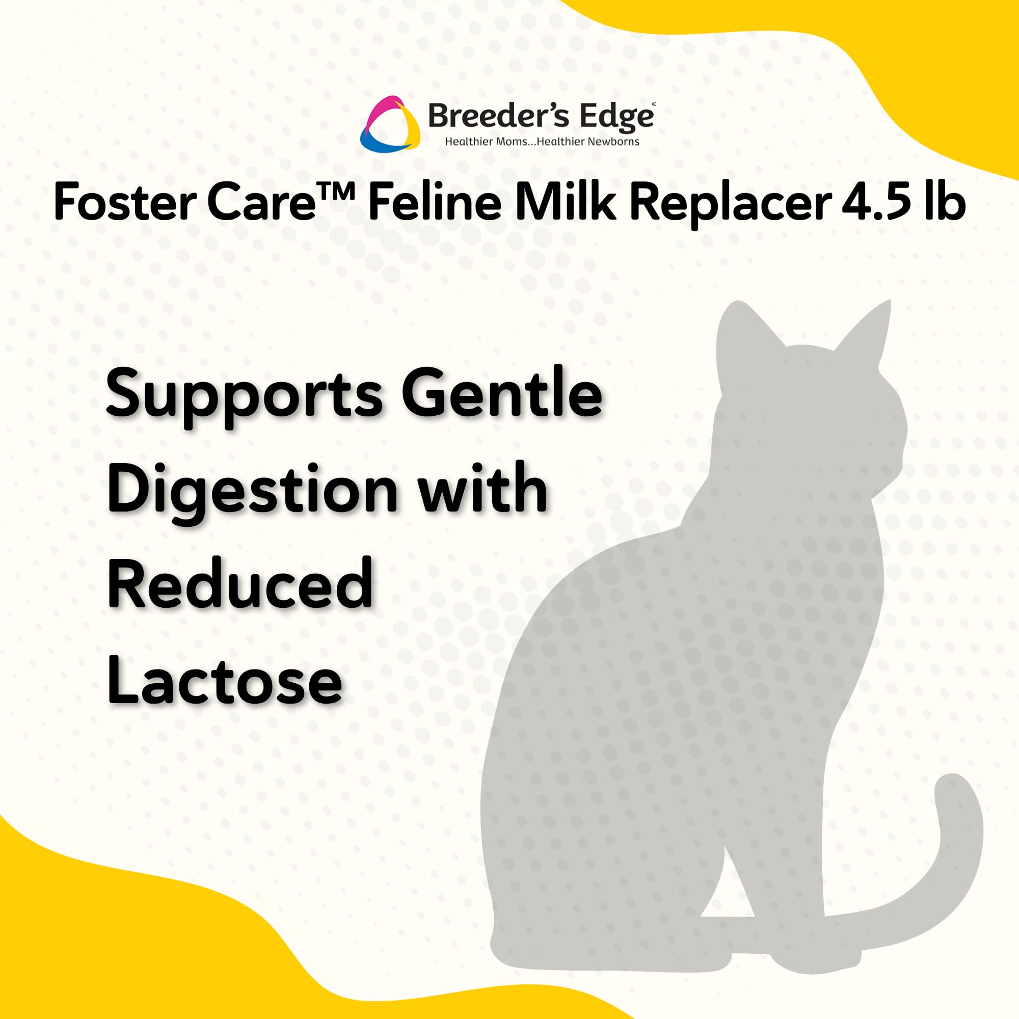 Breeder's Edge Foster Care Feline mezcla fácil para preparación rápida