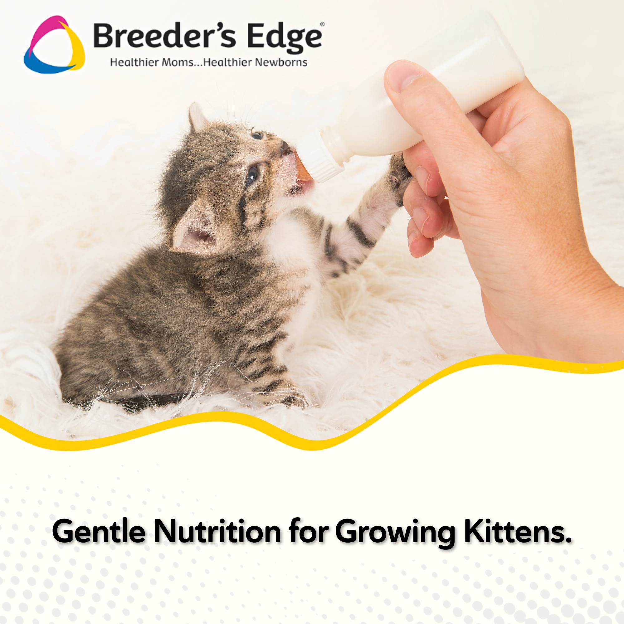 Breeder's Edge Foster Care Feline nutrición completa para gatitos y gatos