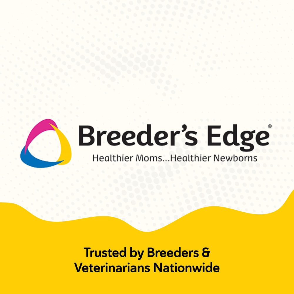 Breeder's Edge Foster Care: adecuado para perros adultos en recuperación.