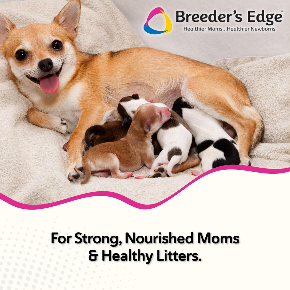 Breeder's Edge Oxy Momma: empaque varía, golosinas listas para lactancia