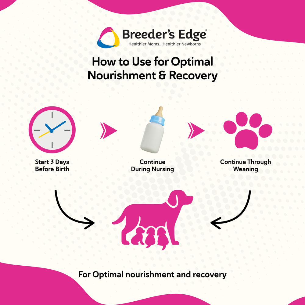Breeder's Edge Oxy Momma: nutrición clave para el bienestar diario
