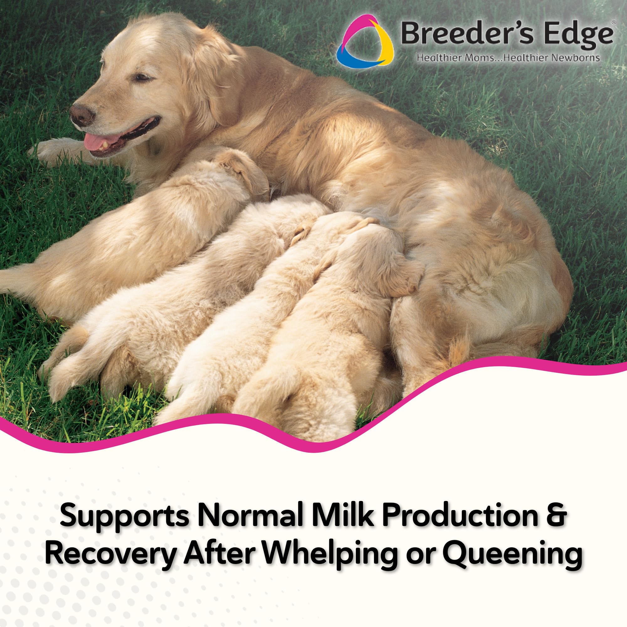 Breeder's Edge Oxy Momma: uso diario durante la lactancia
