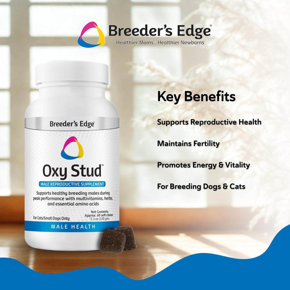 Breeder’s Edge Oxy Stud dosis diaria para la alimentación.