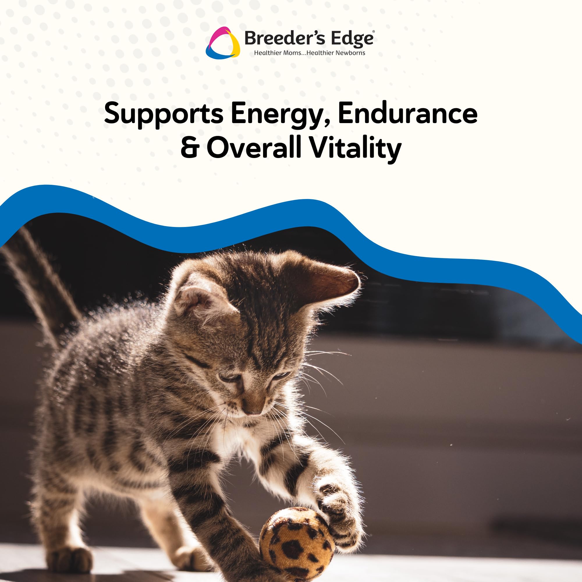 Breeder’s Edge Oxy Stud diseñado para perros y gatos machos.
