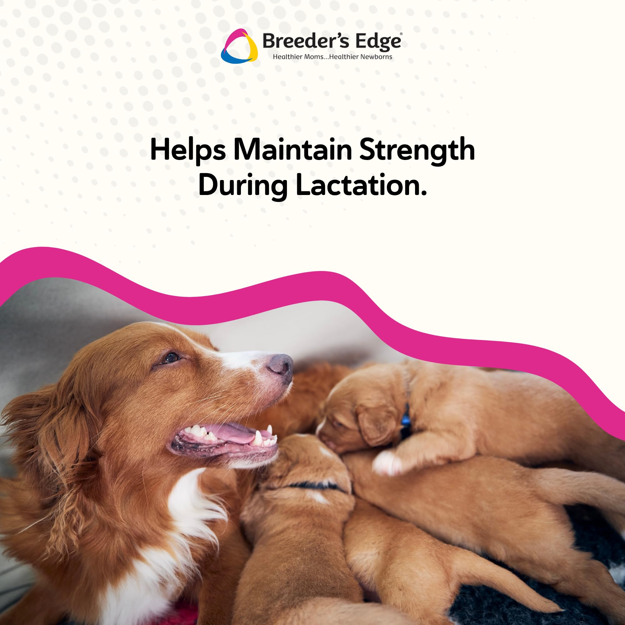 Base de leche de cabra de Breeder’s Edge Cal Plus con alta digestibilidad para mascotas.