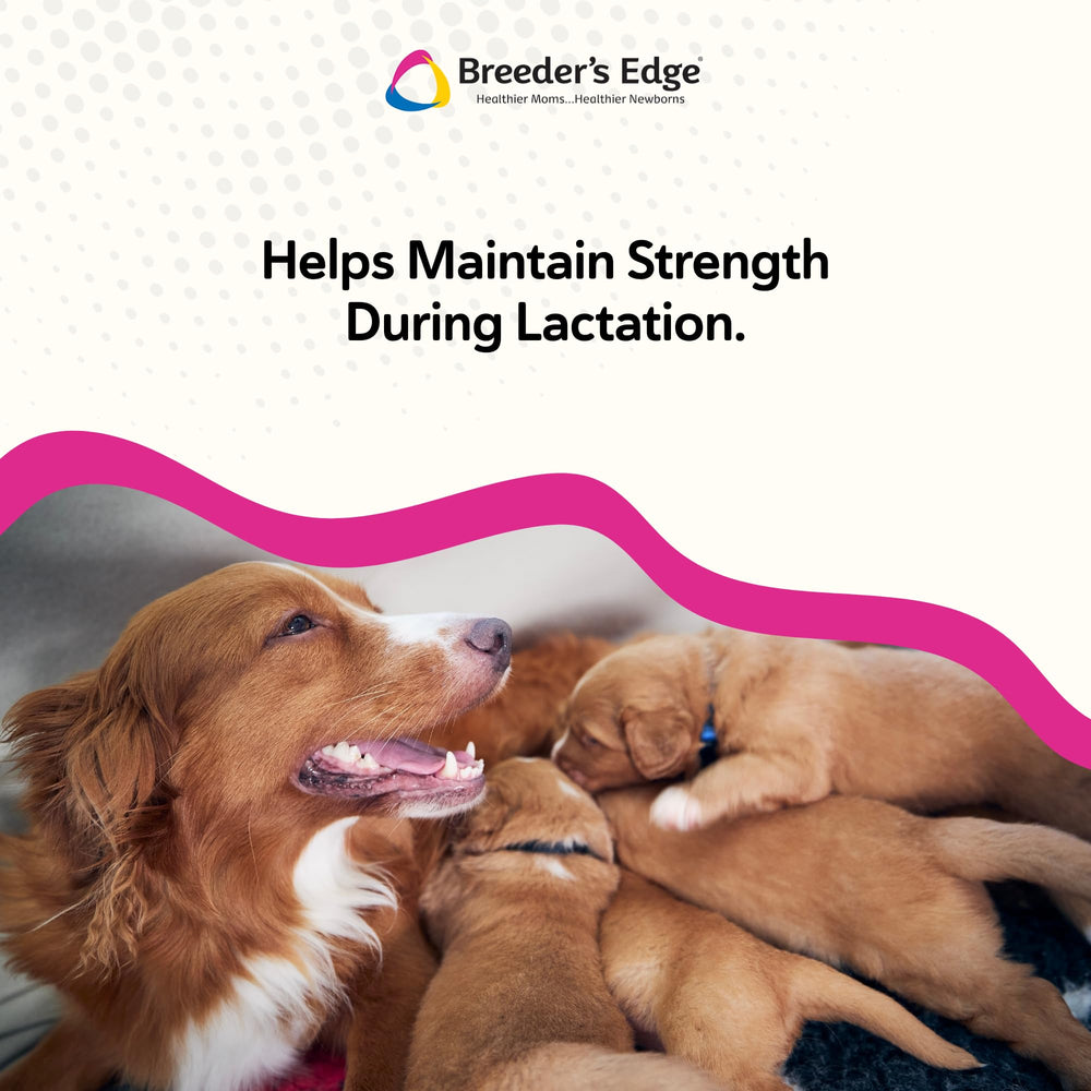 Base de leche de cabra de Breeder’s Edge Cal Plus con alta digestibilidad para mascotas.