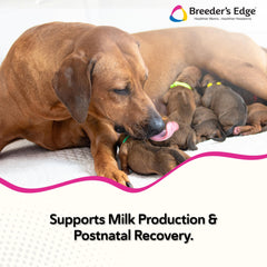 Breeder’s Edge Cal Plus se mezcla fácilmente con comida para administración simple.
