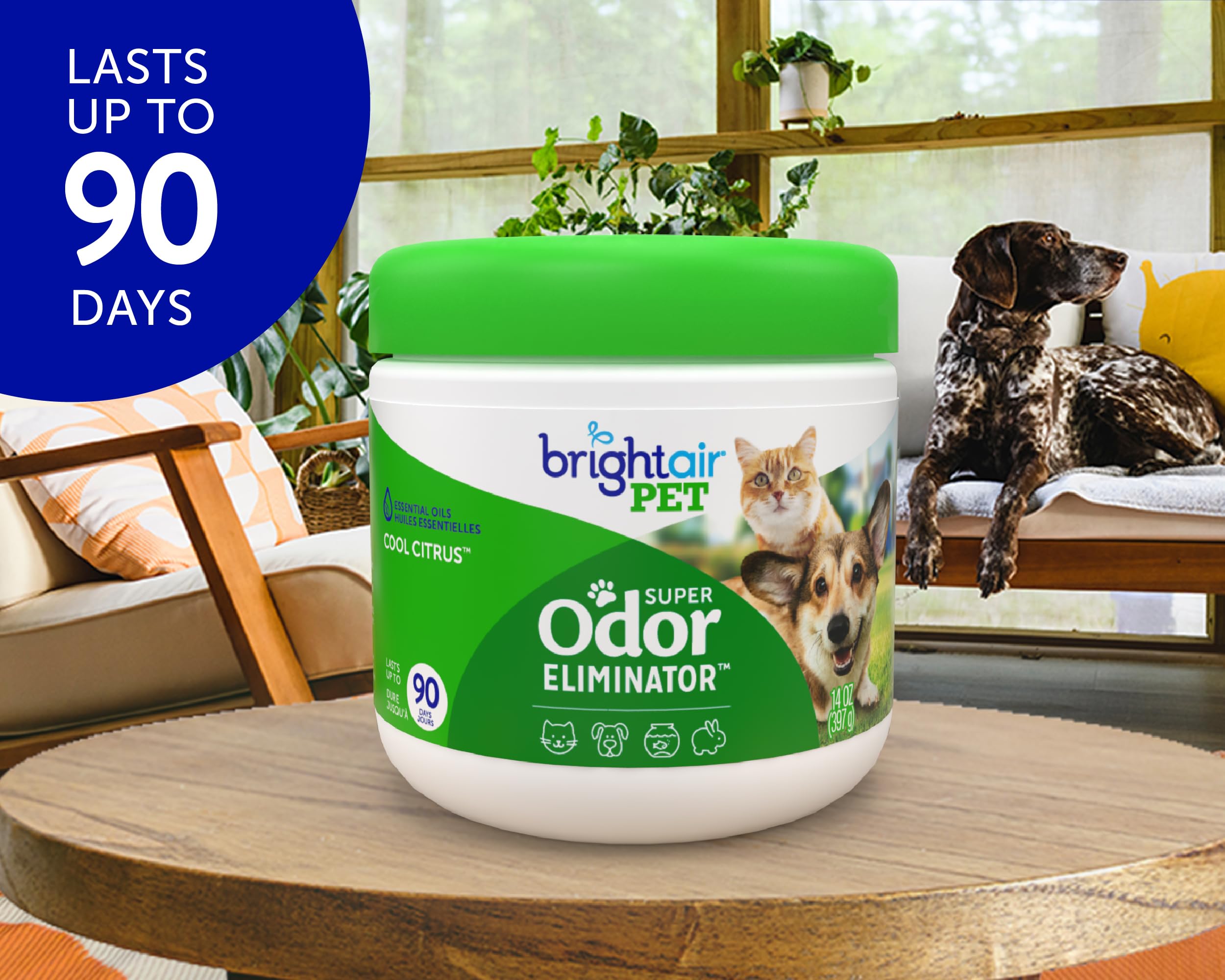 Etiqueta Bright Air sin crueldad con fragancia natural