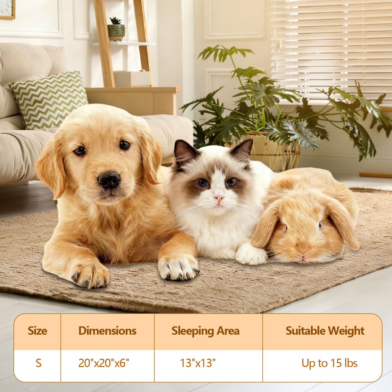 BrightRow tamaño 20x20x6 pulgadas para gatos pequeños