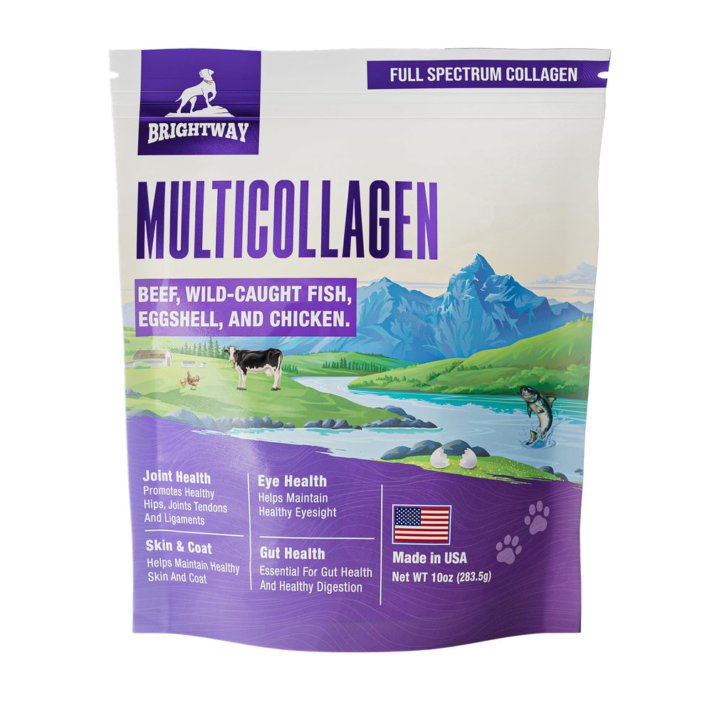 Brightway Pets colágeno para perros en botella, uso diario para movilidad.