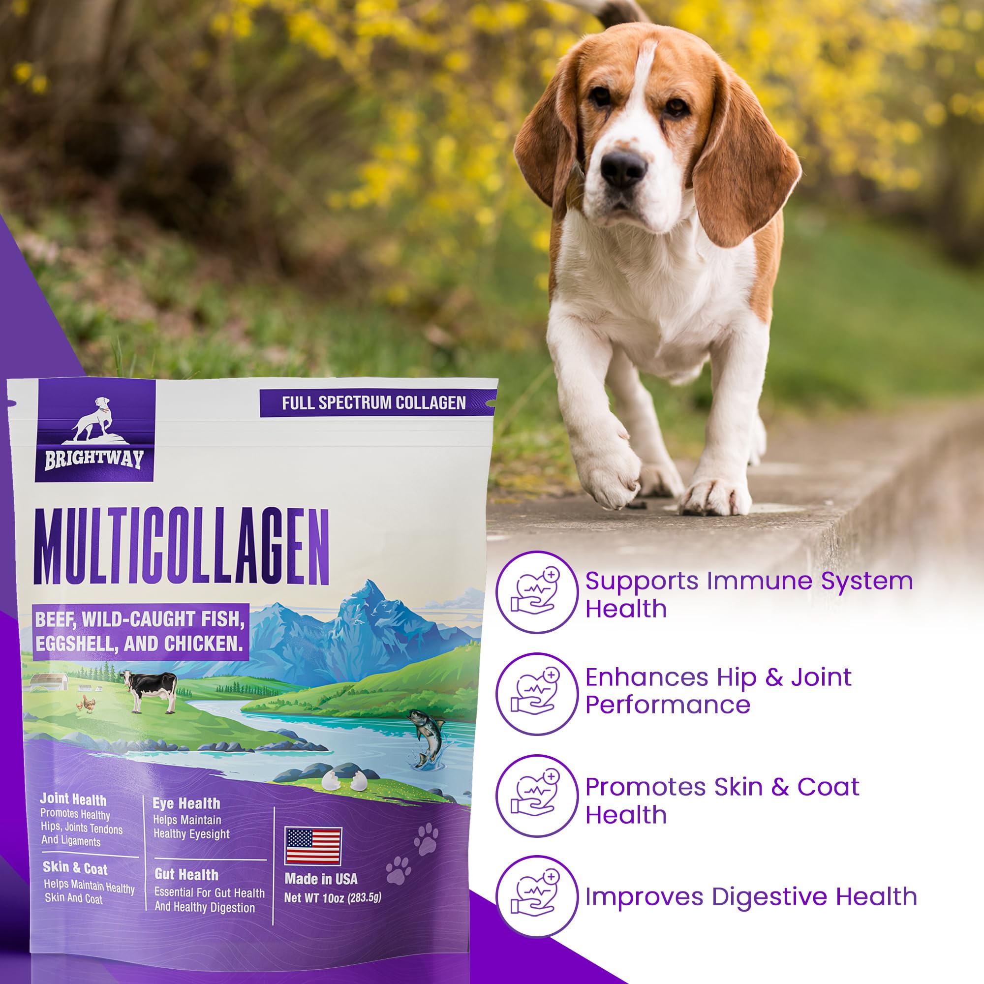 Brightway Pets colágeno para perros, cuidado para mascotas senior.