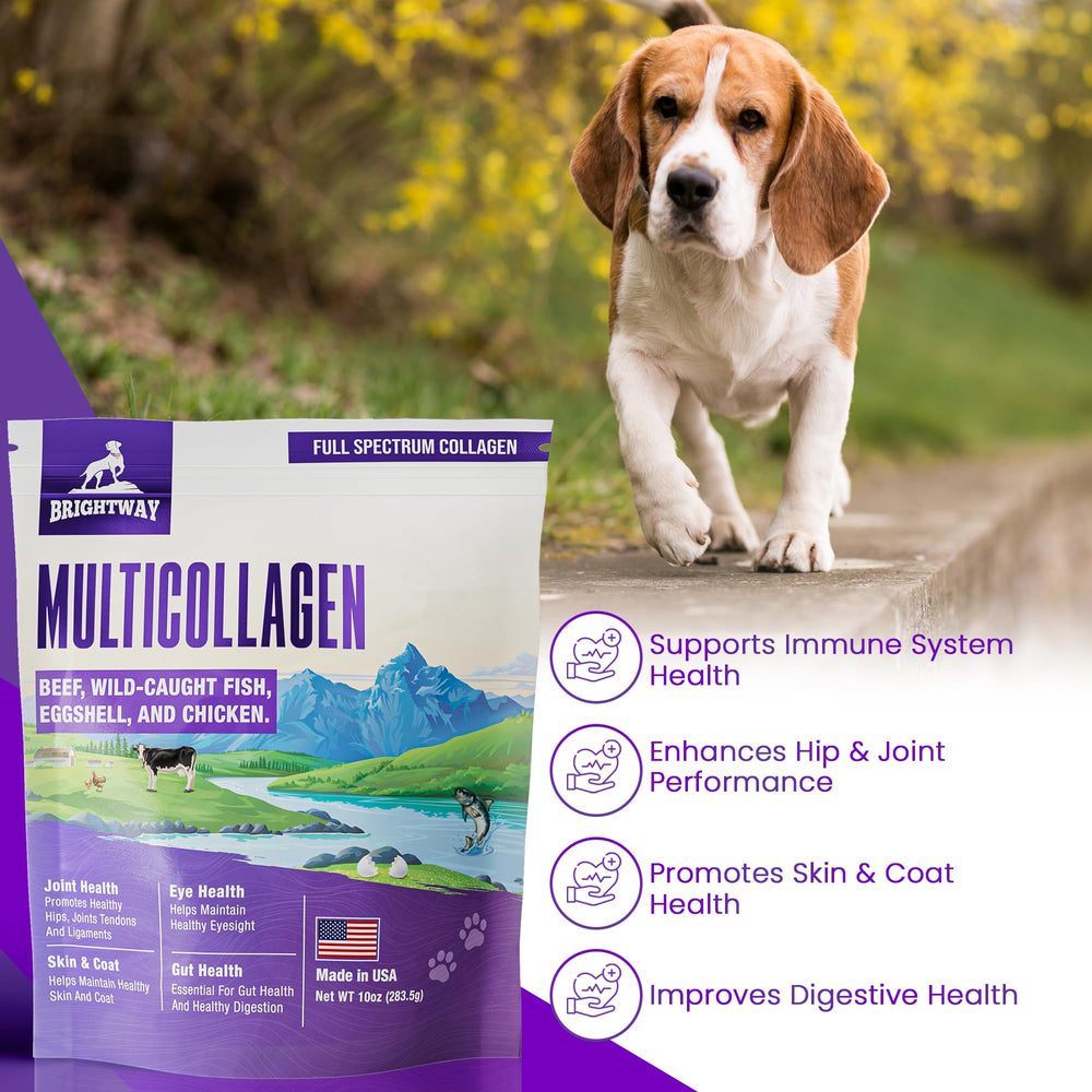 Brightway Pets colágeno para perros, cuidado para mascotas senior.