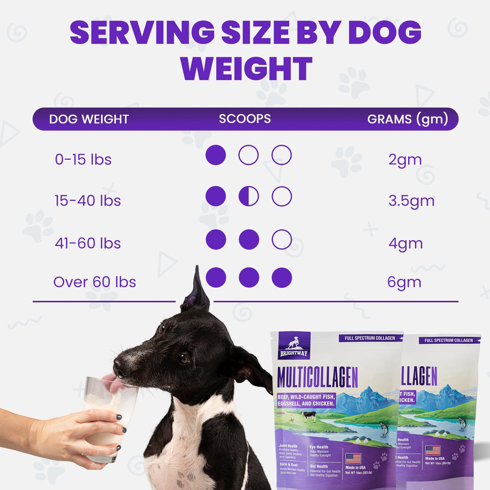 Brightway Pets colágeno para perros, dosis diaria fácil de mezclar.