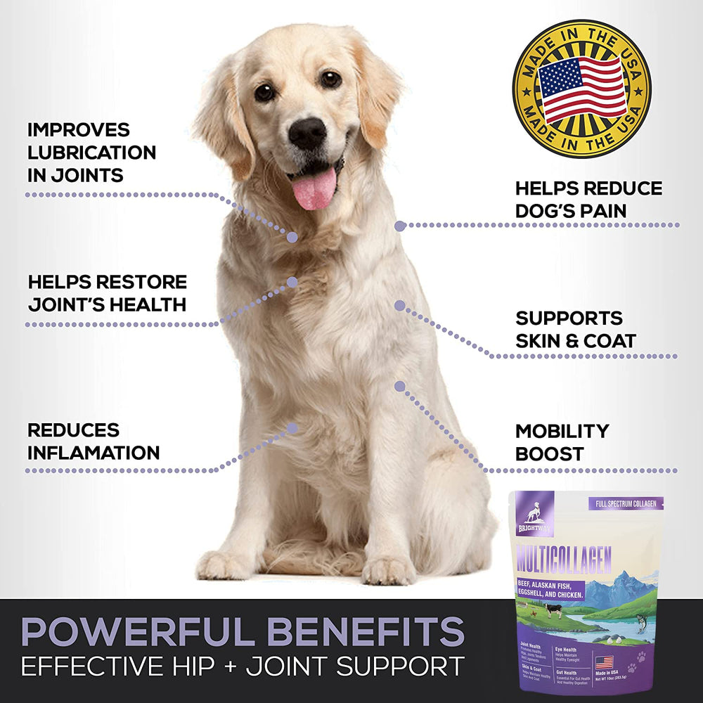 Brightway Pets colágeno para perros, ingredientes premium.