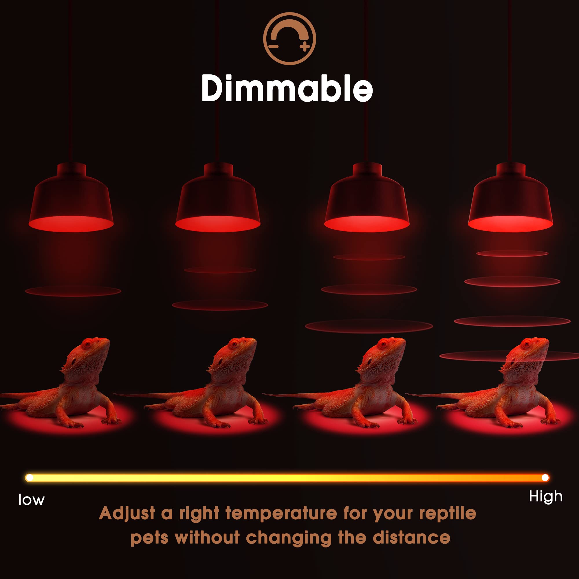 Base G9 Briignite para instalación rápida en terrarios de reptiles.
