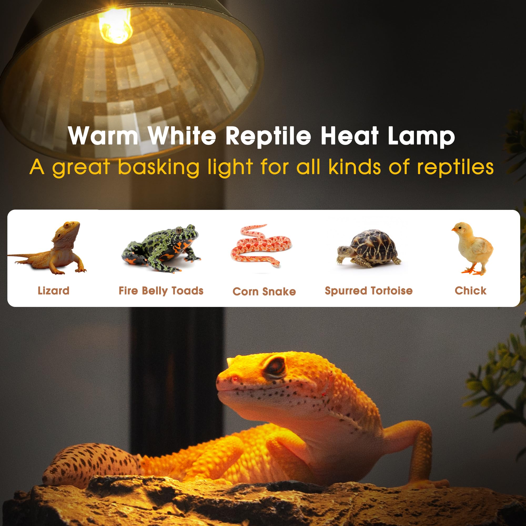 Bombilla halógena Briignite 50W G9 para reptiles, calor fiable.