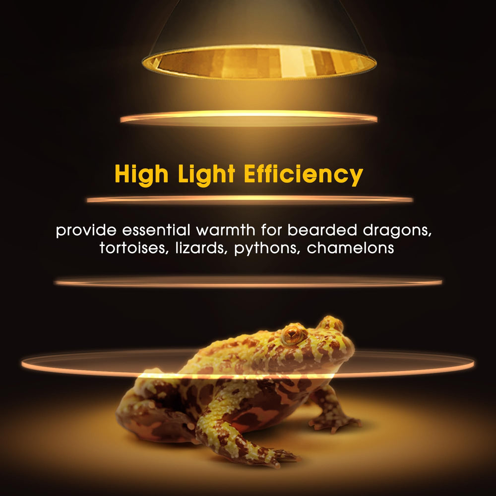 Disipación de calor Briignite: ventilación superior y orificios para enfriar.