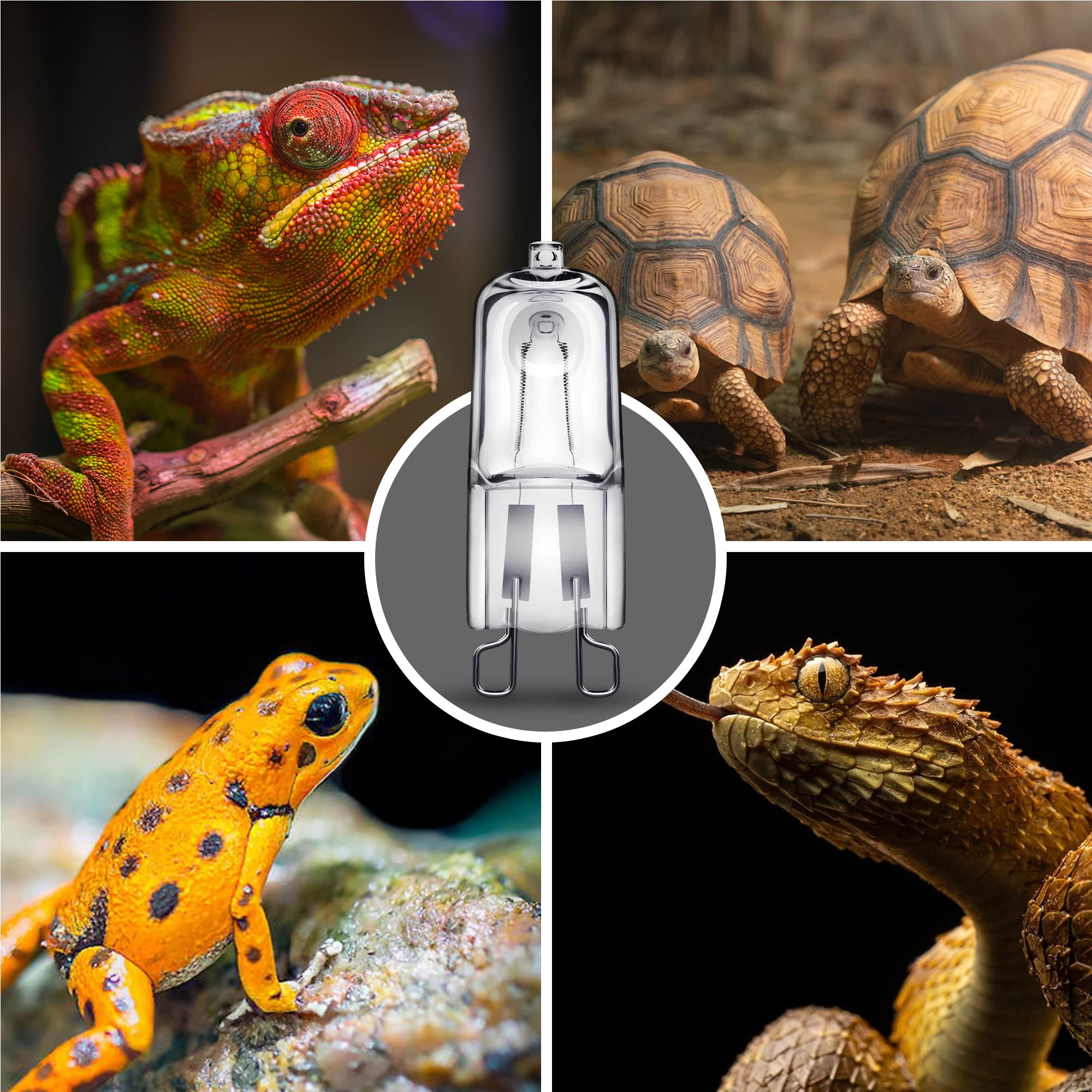 Bombilla Briignite para gecko, lagarto y tortuga, calor estable.