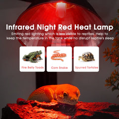 Luz infrarroja roja Briignite para reptiles promueve descanso nocturno.