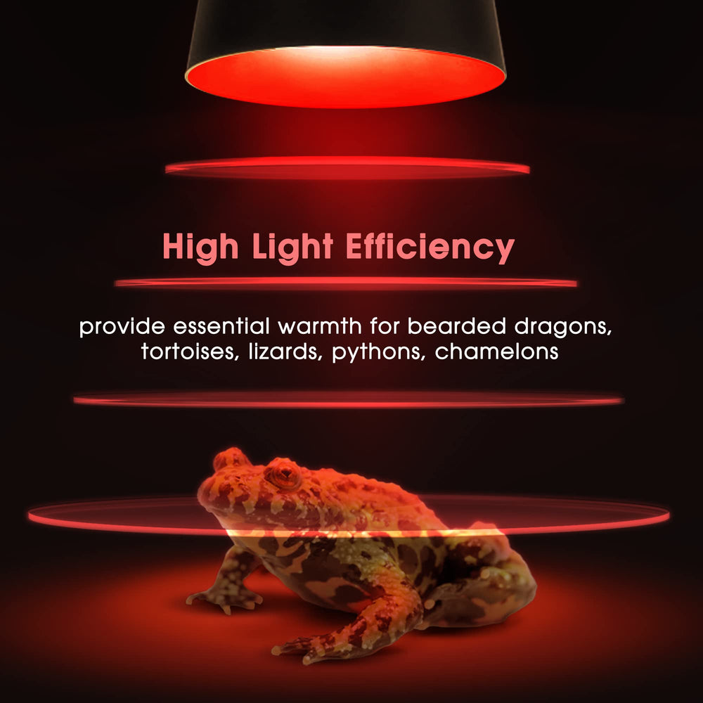 Soporte rápido de Briignite para resolver dudas sobre reptiles.