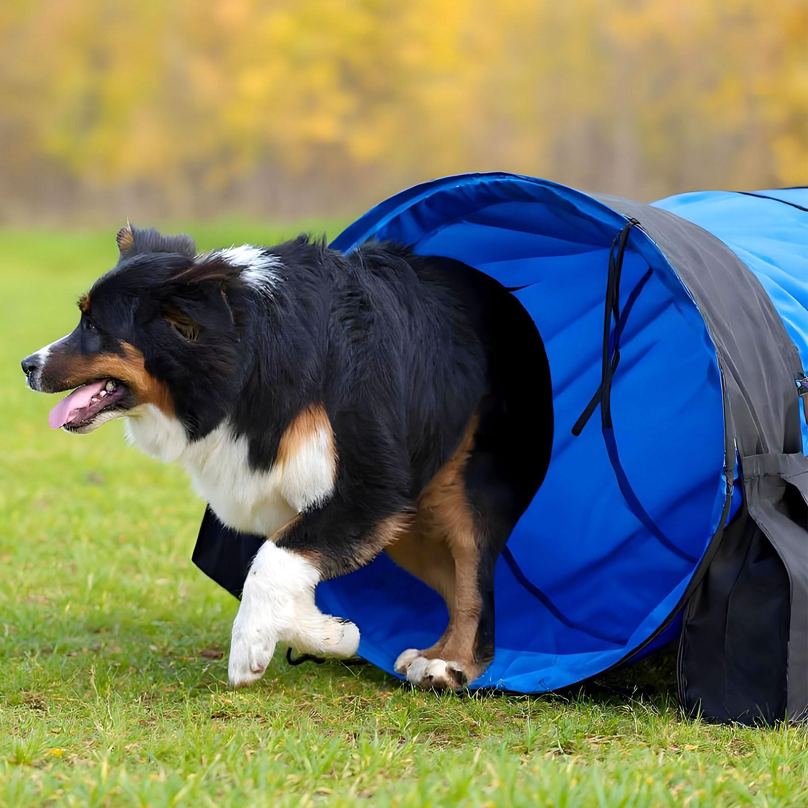 Briwooody accesorio completo con bolsa transportadora para guardar y trasladar fácilmente.