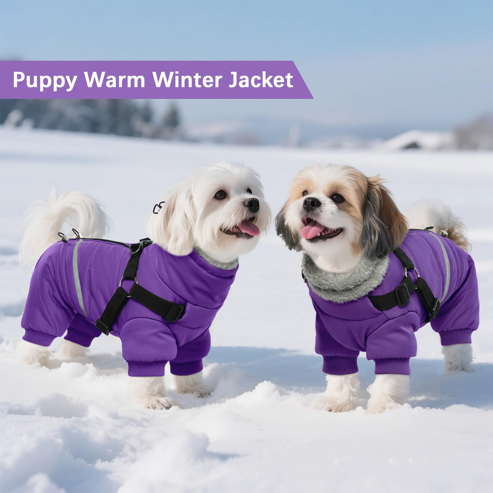 BRKURLEG disponible en tallas para perros pequeños y medianos
