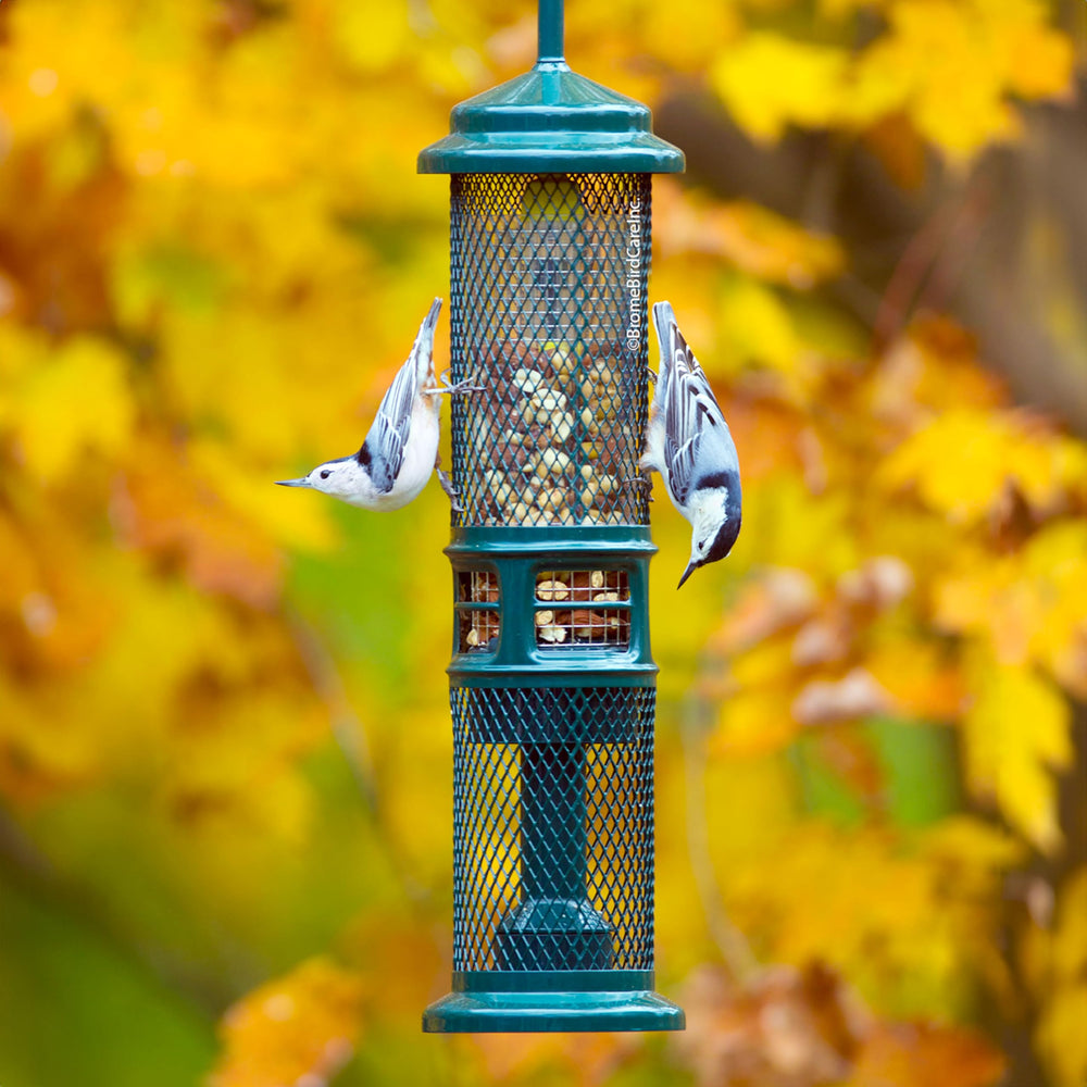 Brome Squirrel Buster Nut Feeder, dos mallas visibles, permite variar tipos de comida para aves.