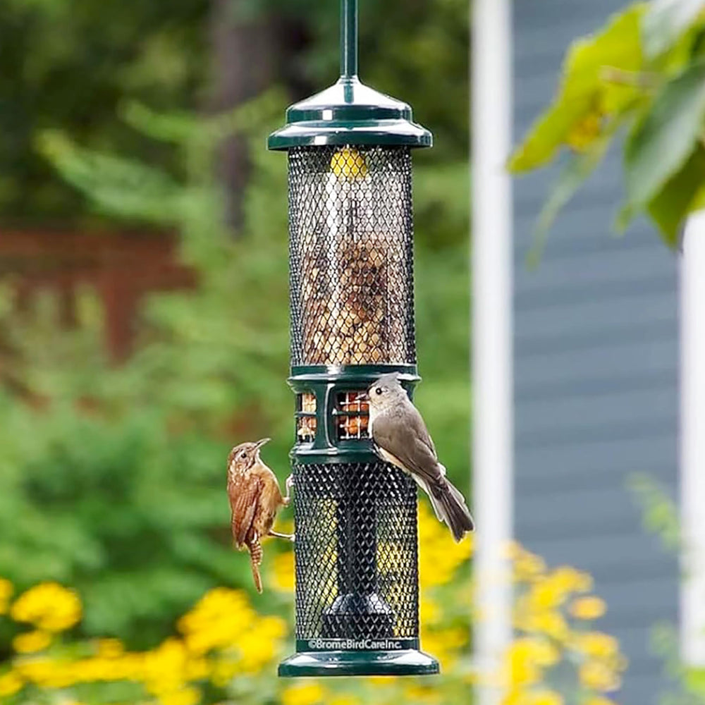 Brome Squirrel Buster Nut Feeder, nueces peladas y frutos secos, opción limpia para aves.