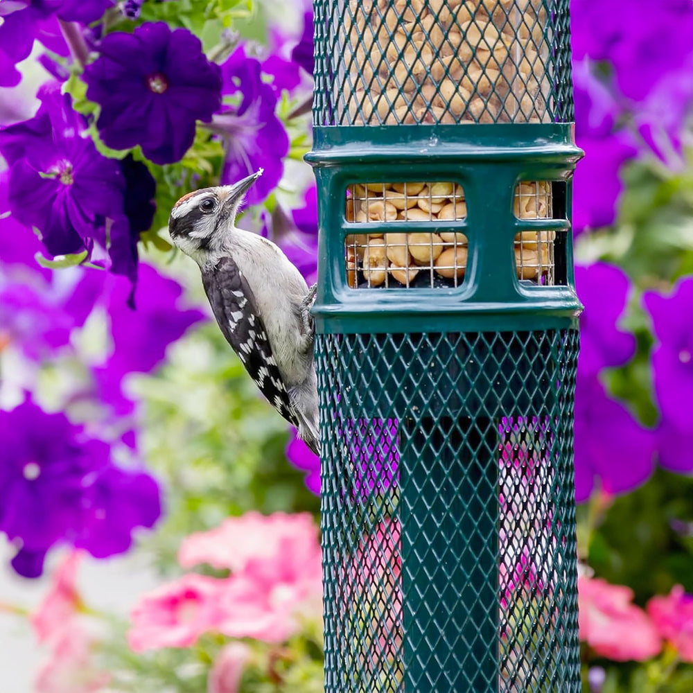 Brome Squirrel Buster Nut Feeder, sistema de peso ajustable, adapta el alimento al tamaño de las aves.