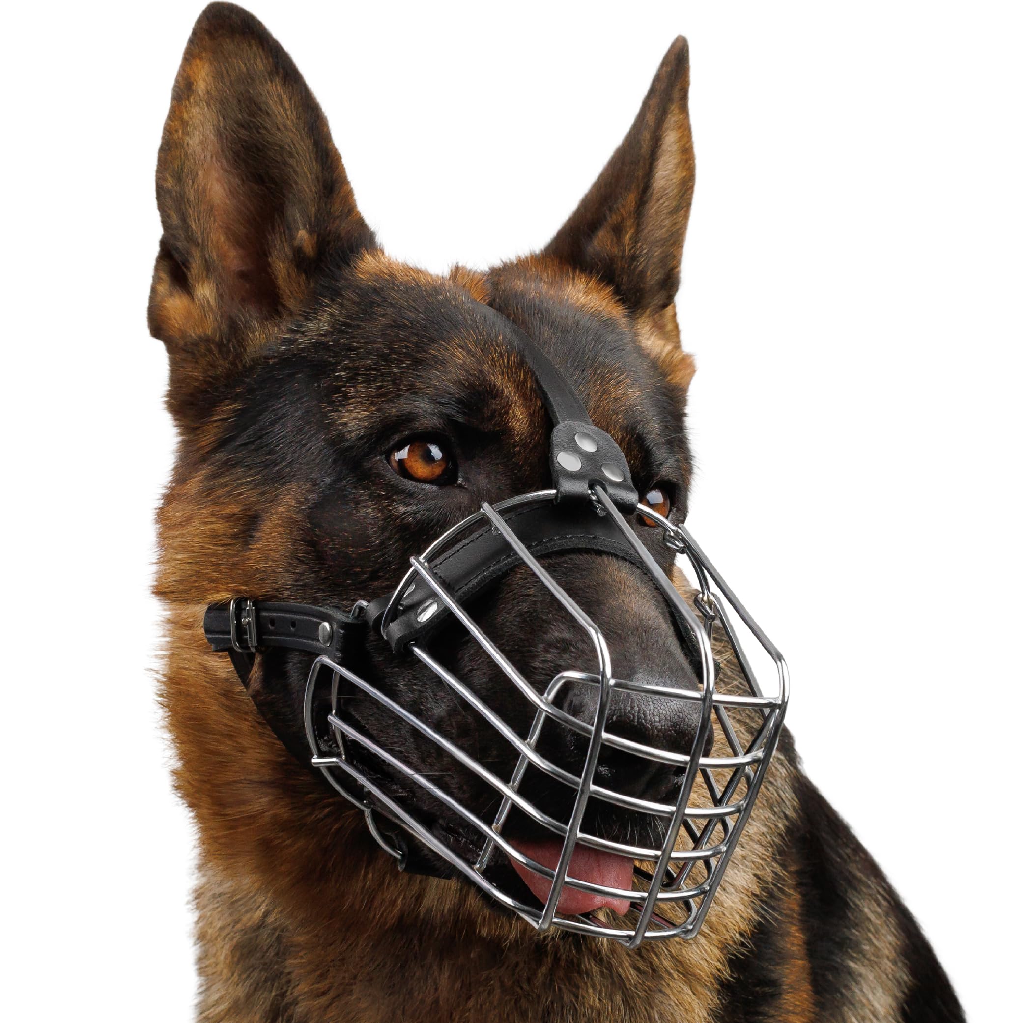 BRONZEDOG bozal acabado metal cuero, estilo y funcionalidad para perros grandes.