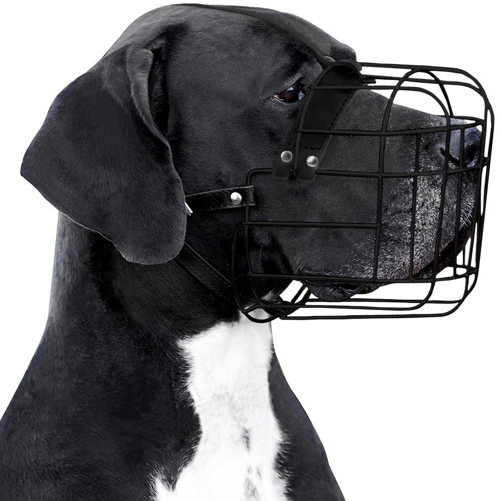 BRONZEDOG bozal de cuero y PVC con ajuste cómodo para perros grandes.