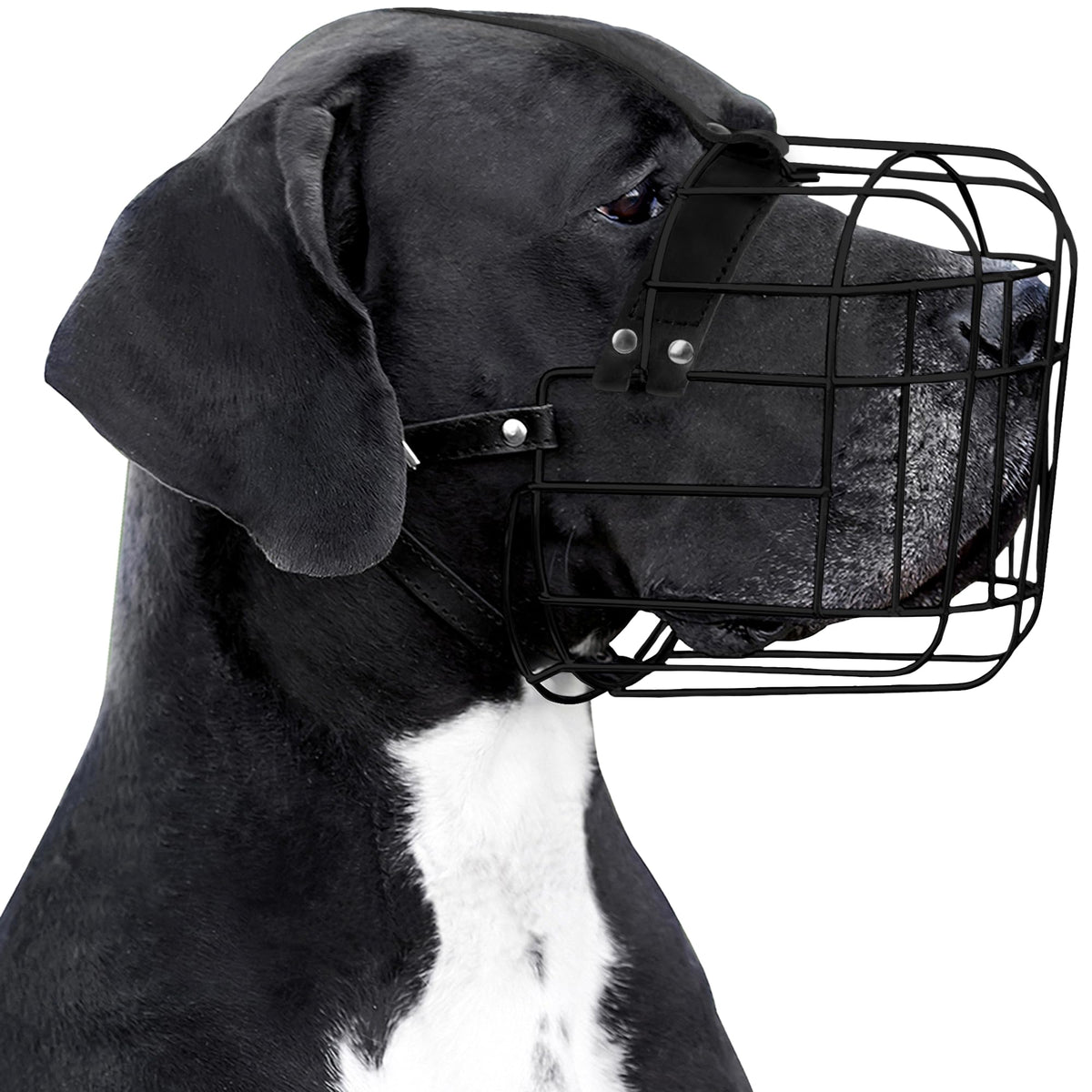 BRONZEDOG bozal de cuero y PVC con ajuste cómodo para perros grandes.