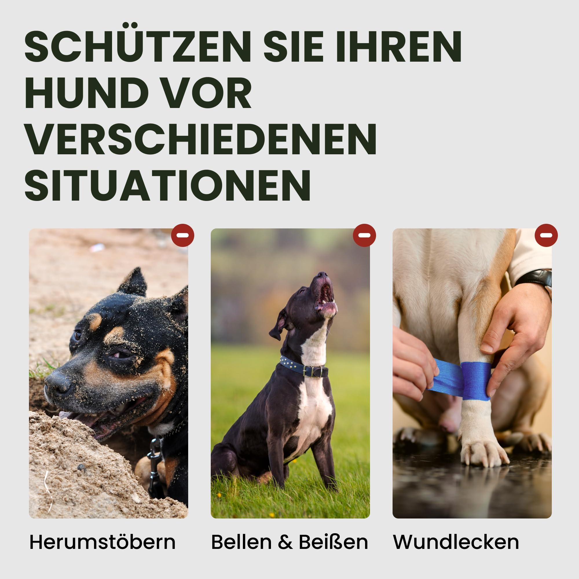 BRONZEDOG bozal en cesta metálica para seguridad y comodidad.