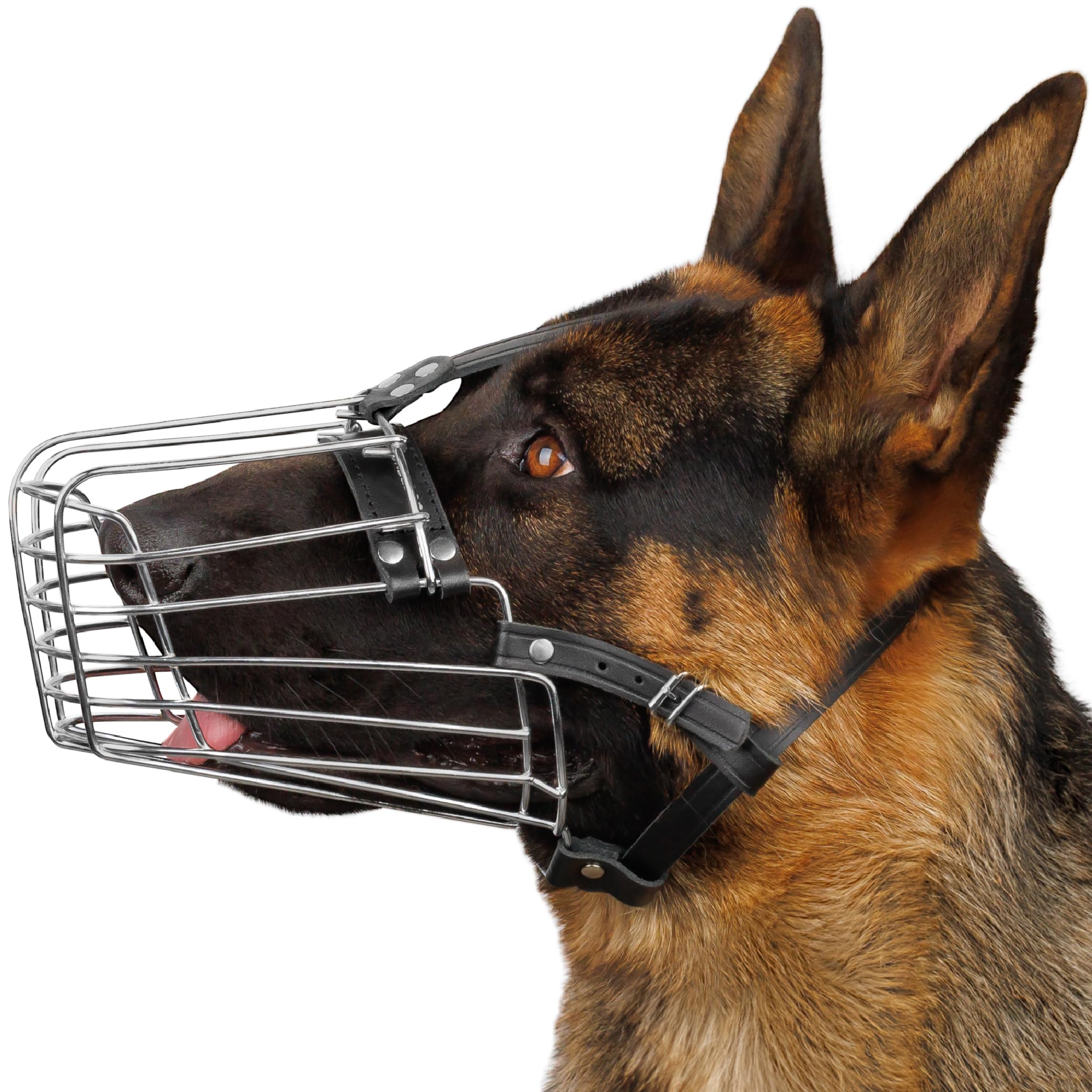 BRONZEDOG bozal jaula alambre metal, diseño duradero para paseos seguros.