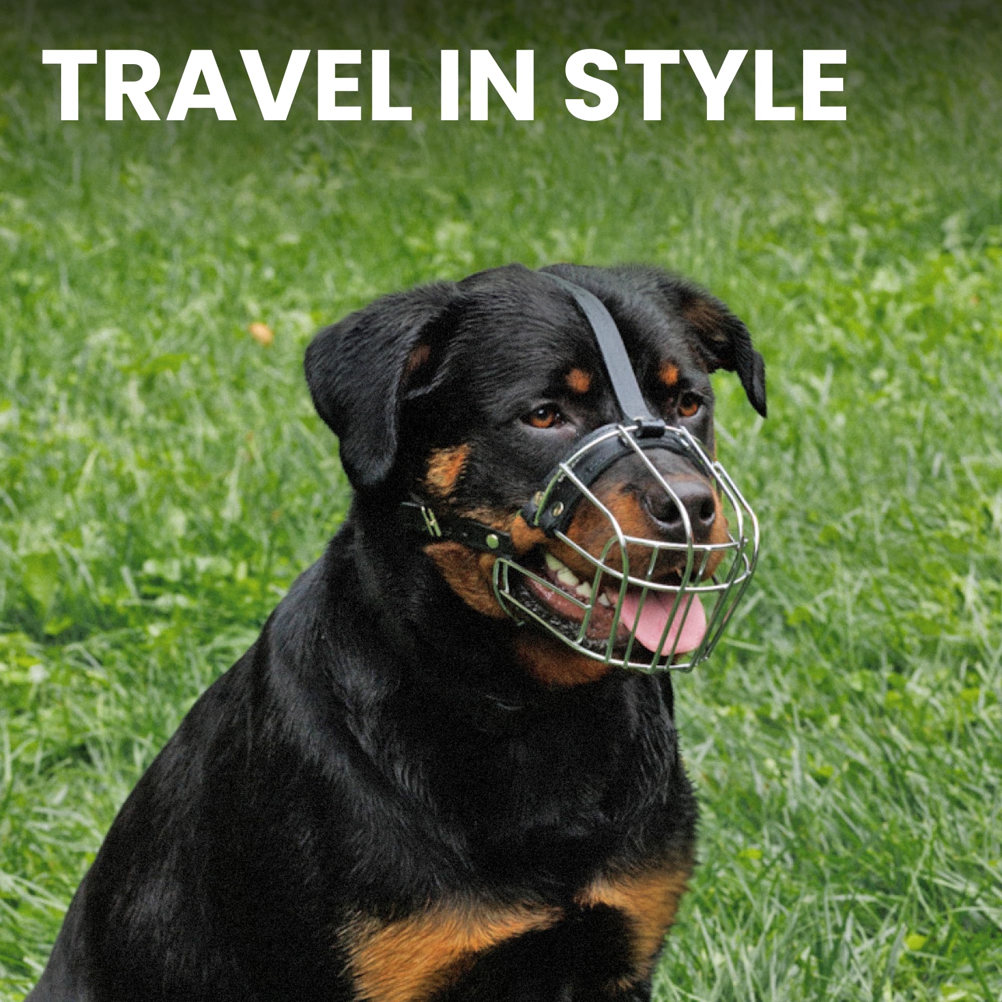 BRONZEDOG bozal de acero inoxidable para perros grandes durante salidas al exterior.