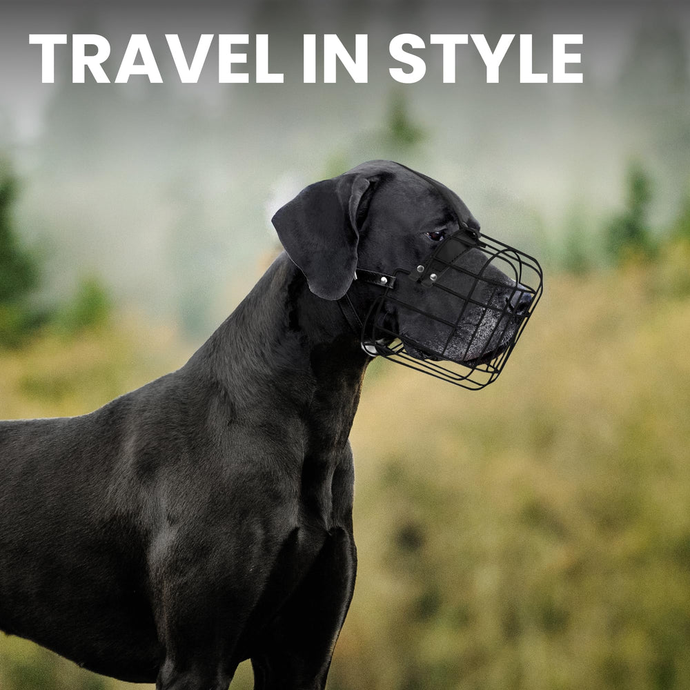 BRONZEDOG bozal para paseo y cuidado estético seguro.