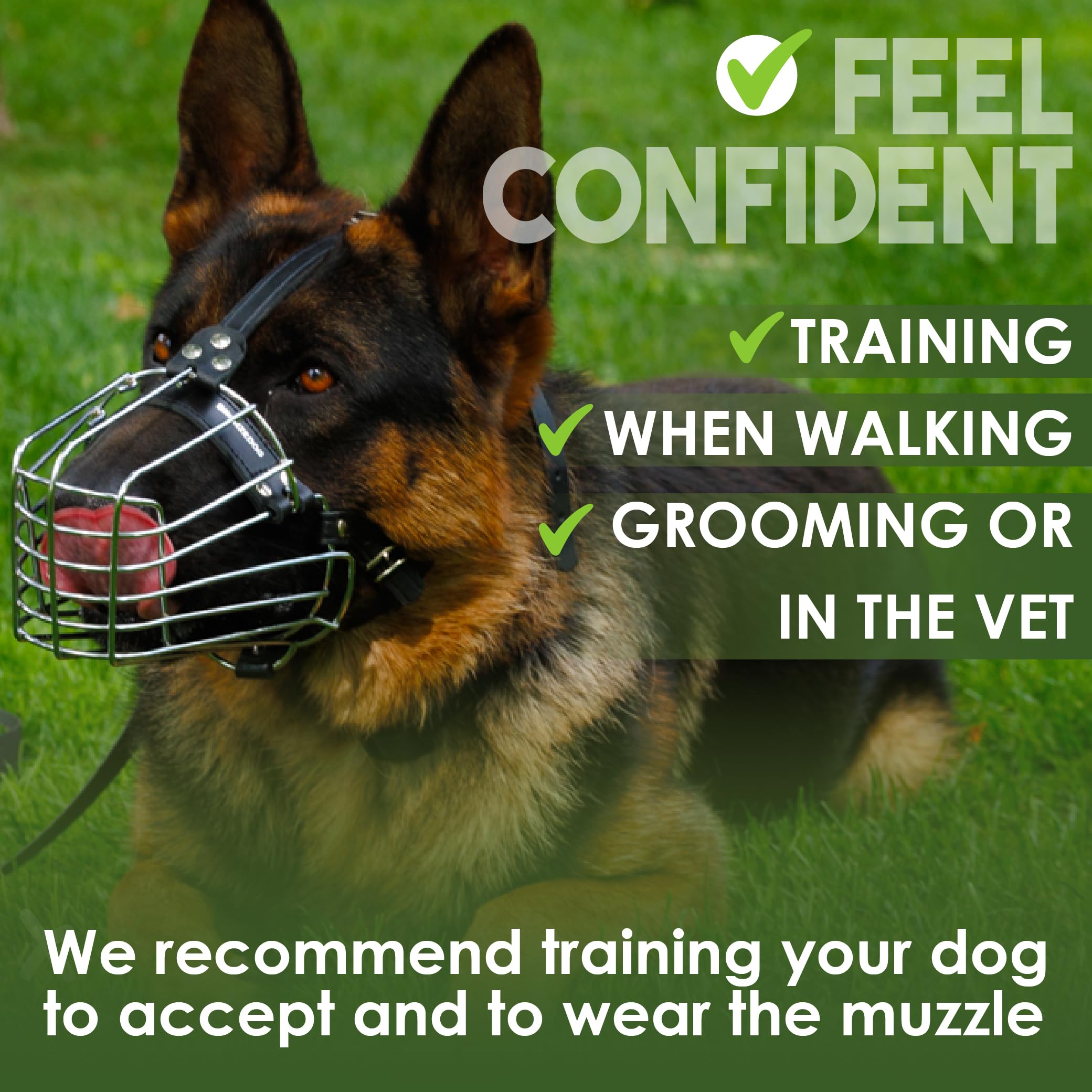 BRONZEDOG bozal uso diario, ideal para paseos y visitas al veterinario.