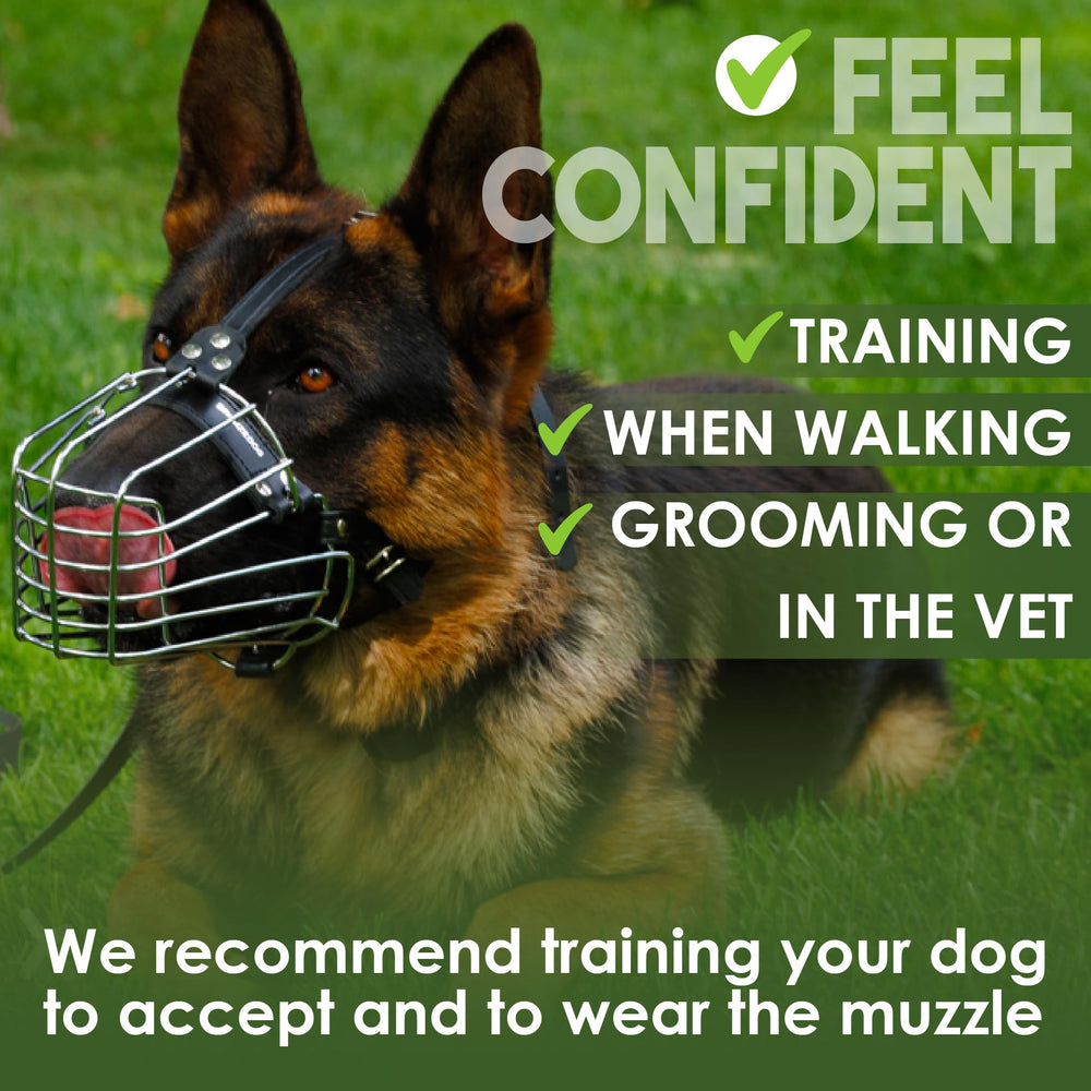 BRONZEDOG bozal uso diario, ideal para paseos y visitas al veterinario.