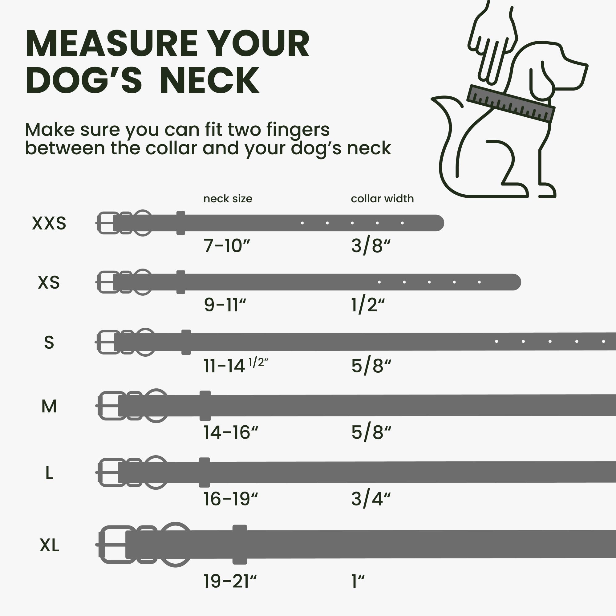 BronzeDog collar ajustable de cuero enrollado, cómodo para paseos diarios