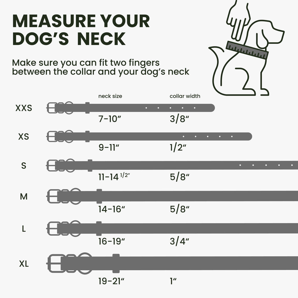 BronzeDog collar ajustable de cuero enrollado, cómodo para paseos diarios