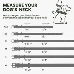 BronzeDog collar ajustable de cuero enrollado, cómodo para paseos diarios