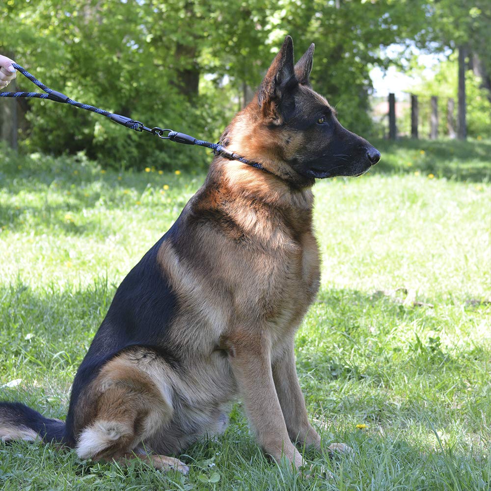 BRONZEDOG collar ajustable para perros azul, adecuada para varias tallas