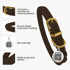 BronzeDog collar negro noche, diseño práctico para días activos.