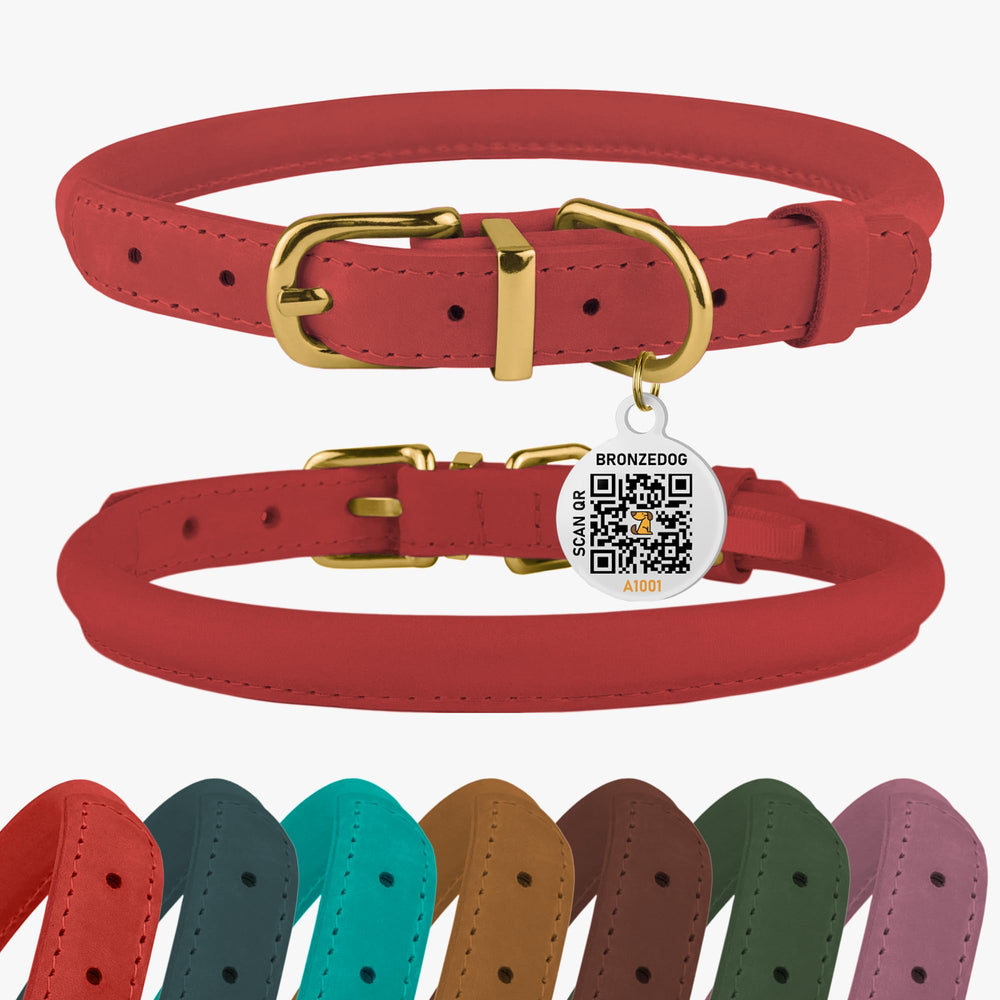 BRONZEDOG collar-cuero-enrollado con QR para identificación rápida durante paseos.