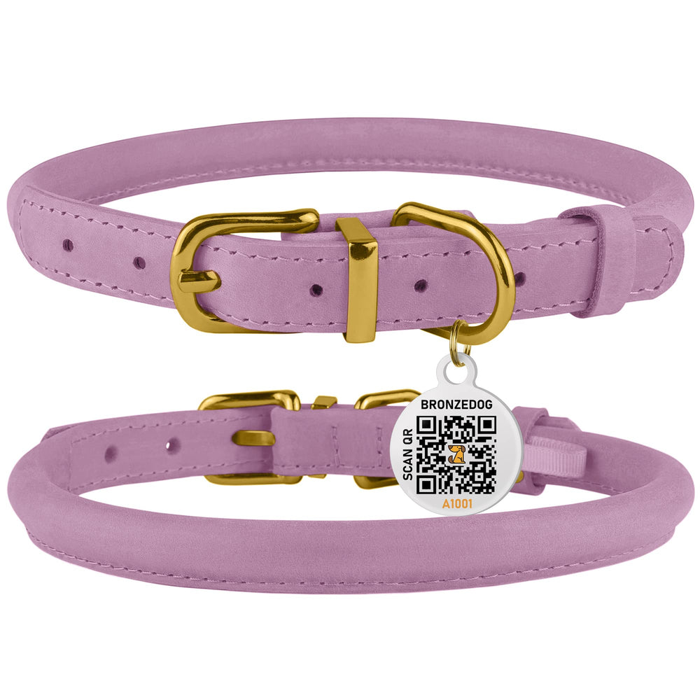 BRONZEDOG collar enrollado turquesa: tono refrescante para salidas diarias.