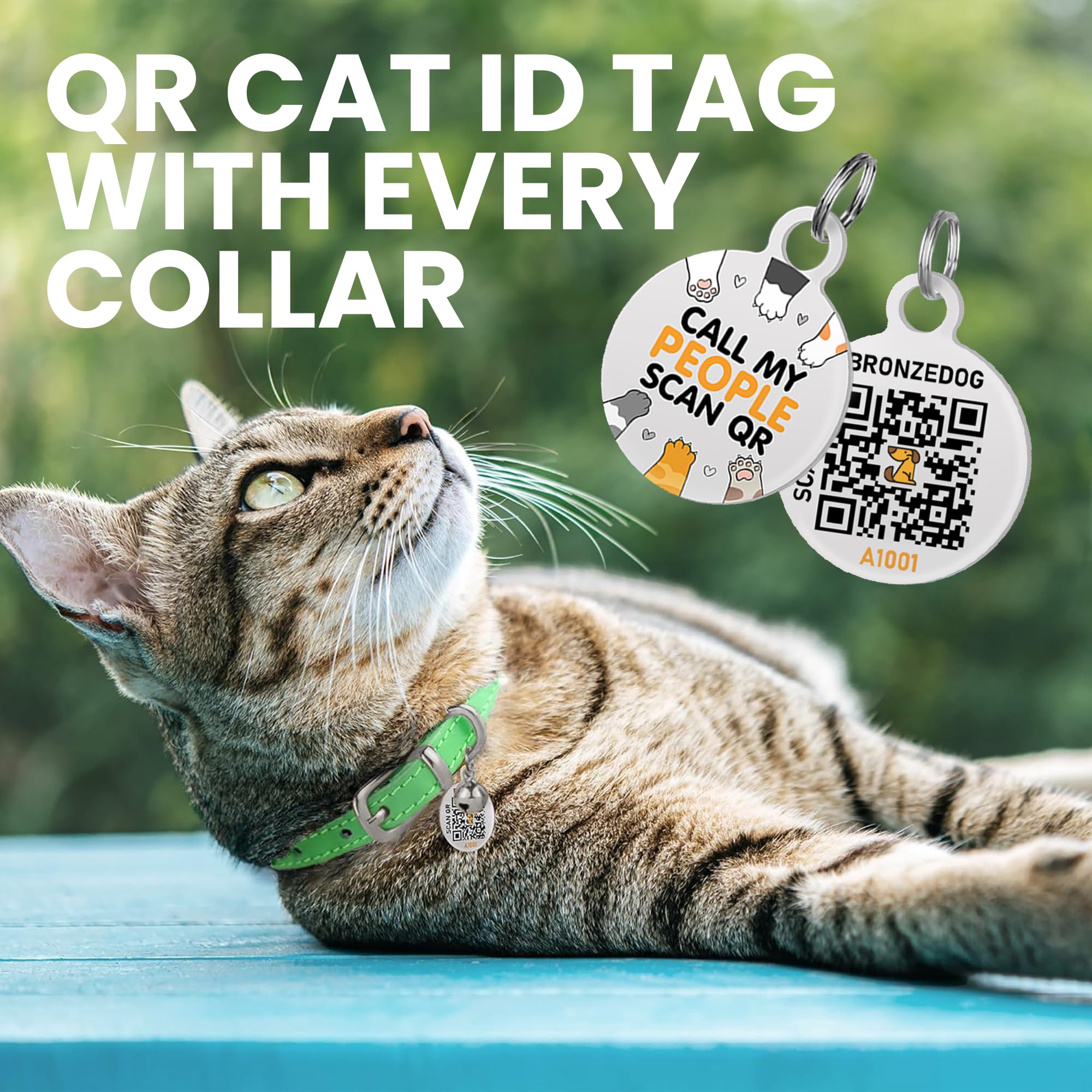 BRONZEDOG collar con campana removible para alertar y disuadir presas