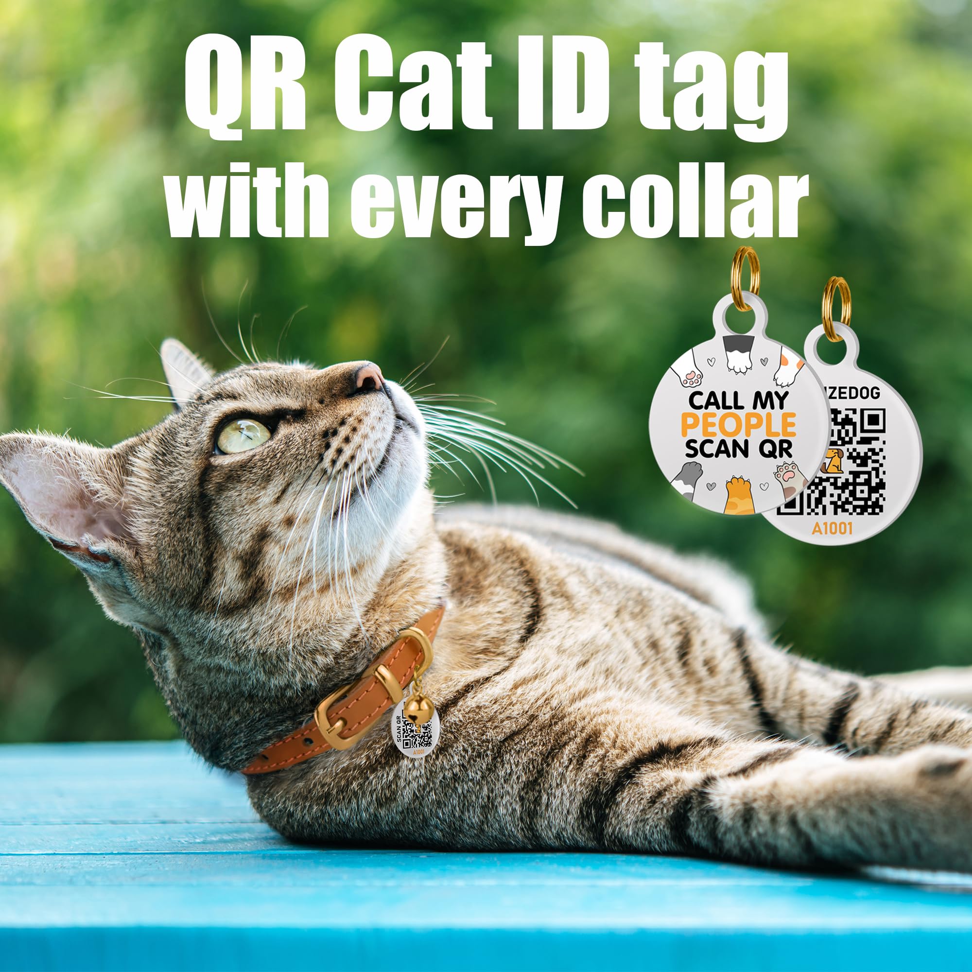 BRONZEDOG collar cuero-gato-herrajes-durables, acabado fiable para uso diario.